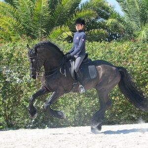 Read about temporarily postponed-Posher, Kimberly